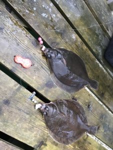 1B18AFBA-4902-4725-989E-8BF84379F13A.jpeg 1B18AFBA-4902-4725-989E-8BF84379F13A.jpeg