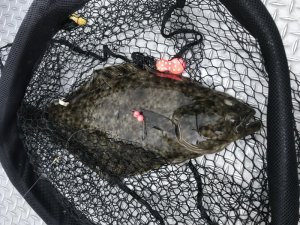 DB634E58-3506-4A9A-A2B2-58A75BF8B111.jpeg DB634E58-3506-4A9A-A2B2-58A75BF8B111.jpeg