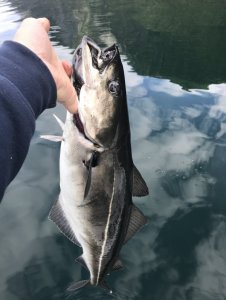 IMG_8861 Kopie.jpg IMG_8861 Kopie.jpg