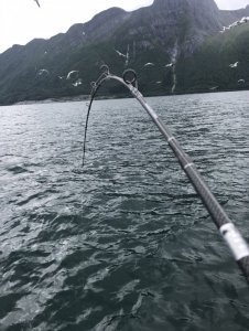 IMG_8871 Kopie.jpg IMG_8871 Kopie.jpg