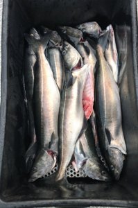 QOOK1498.JPG QOOK1498.JPG