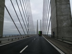 IMG_20200713_113301.jpg