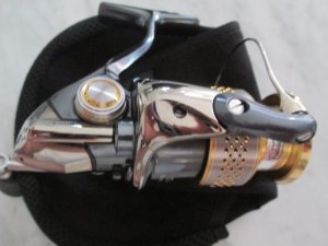 007.JPG