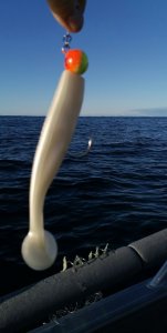 IMG_20200713_203153.jpg