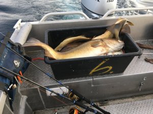 IMG_3063.JPG IMG_3063.JPG