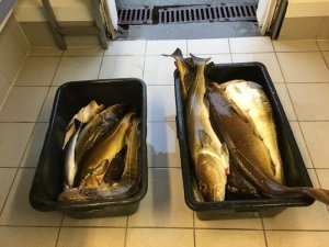 IMG_3071.JPG IMG_3071.JPG