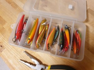 20200716_183531.jpg 20200716_183531.jpg