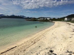 IMG_3080.JPG IMG_3080.JPG