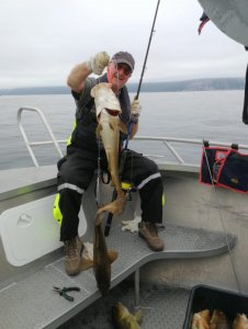 LDED3596.JPG LDED3596.JPG