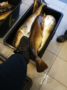 AIJQ0829.JPG AIJQ0829.JPG