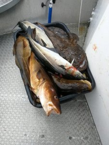 DEHR7591.JPG DEHR7591.JPG