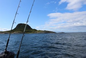 IMG_8649.JPG
