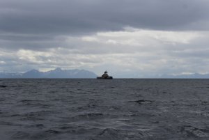 IMG_8671.JPG