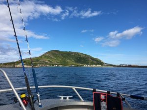 IMG_3114.JPG IMG_3114.JPG