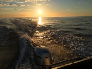 IMG_3130.JPG IMG_3130.JPG