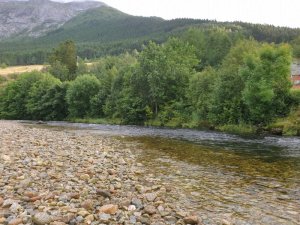 20200719_195657.jpg 20200719_195657.jpg