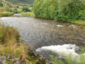 20200719_202738.jpg 20200719_202738.jpg