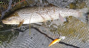 20200719_222231.jpg 20200719_222231.jpg