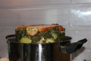IMG_8895.JPG