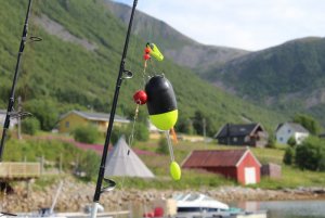 IMG_8779.JPG
