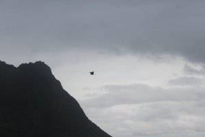 IMG_8940.JPG