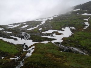 IMG_20200723_151601.jpg