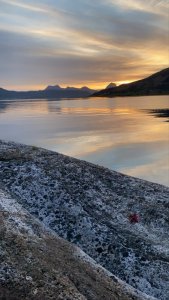 49BD0614-3A13-4978-8945-6056999B9867.jpeg 49BD0614-3A13-4978-8945-6056999B9867.jpeg