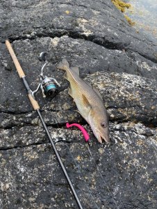 F8223493-DFC4-4330-A739-6CC216DA38C8.jpeg F8223493-DFC4-4330-A739-6CC216DA38C8.jpeg