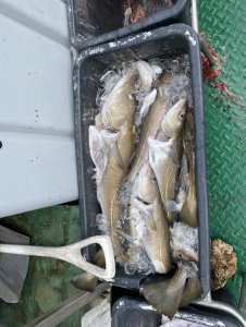 15AB60AC-9C0B-44A8-BE0C-61DC0982EB91.jpeg 15AB60AC-9C0B-44A8-BE0C-61DC0982EB91.jpeg