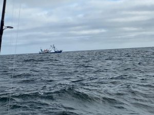 3F8FB750-2EE5-4D71-B2E4-C946C529C471.jpeg 3F8FB750-2EE5-4D71-B2E4-C946C529C471.jpeg