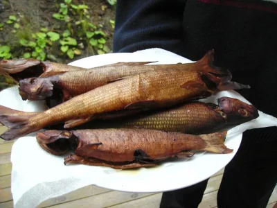 soroya 2014 003.webp