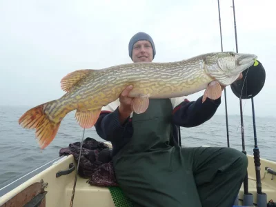 okt14bodden 146.webp