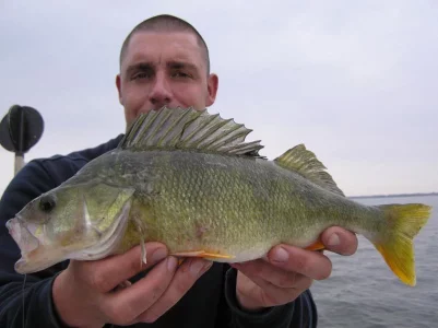 oct 14 bodden 003.webp