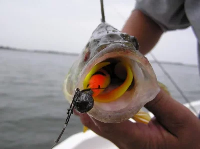 oct 14 bodden 001.webp