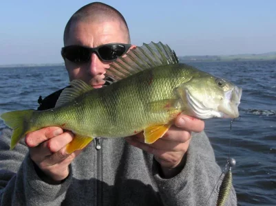 oct 14 bodden 027.webp