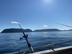 D0104779-EA5E-4FEA-B6B7-E16BADD86EF7.jpeg D0104779-EA5E-4FEA-B6B7-E16BADD86EF7.jpeg