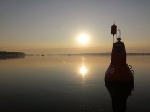 IMG_20200808_064612.jpg IMG_20200808_064612.jpg