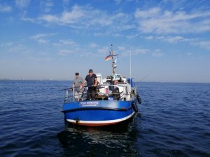 IMG_20200808_091226.jpg IMG_20200808_091226.jpg