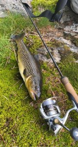 DD7CCF2F-15E9-432B-88D4-0704CF133256.jpeg DD7CCF2F-15E9-432B-88D4-0704CF133256.jpeg