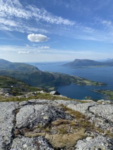 99919FEC-7D9B-428E-9B57-AB59D6EB3976.jpeg 99919FEC-7D9B-428E-9B57-AB59D6EB3976.jpeg