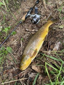 DA5EED18-3975-4AE4-A241-E157AF80F956.jpeg DA5EED18-3975-4AE4-A241-E157AF80F956.jpeg