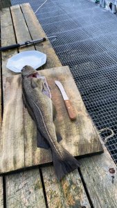 C758A871-11EB-4470-ACC1-36DE78D2C8EB.jpeg C758A871-11EB-4470-ACC1-36DE78D2C8EB.jpeg