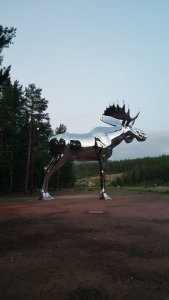 20200814_045058.jpg