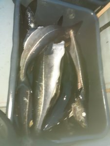 20200813_215354.jpg