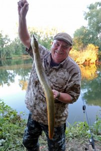 Aal 83cm.jpg Aal 83cm.jpg