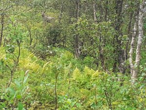 20200816_101721.jpg