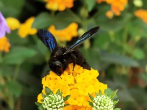 IMG_20200812_130048 Kopie.jpg