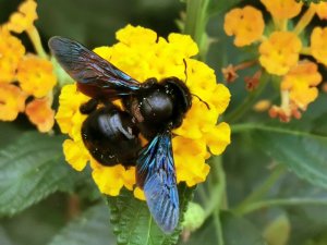 IMG_20200812_130109 Kopie.jpg