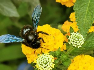 IMG_20200812_130142 Kopie.jpg