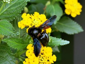 IMG_20200812_130212 Kopie.jpg